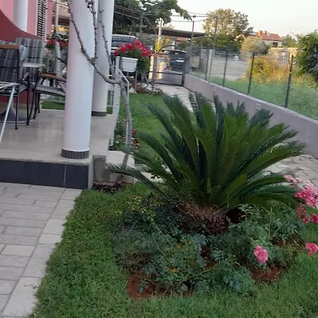 Dragica *