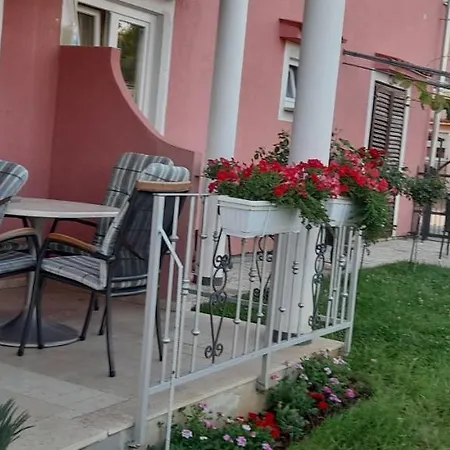Dragica بوريتش