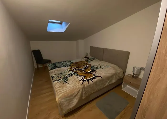 Dragica Πόρετς