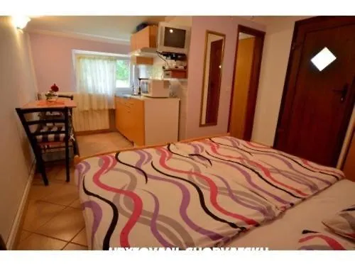 Dragica Apartment Porec