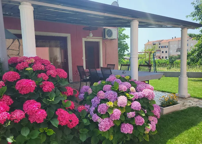 Apartment Dragica
