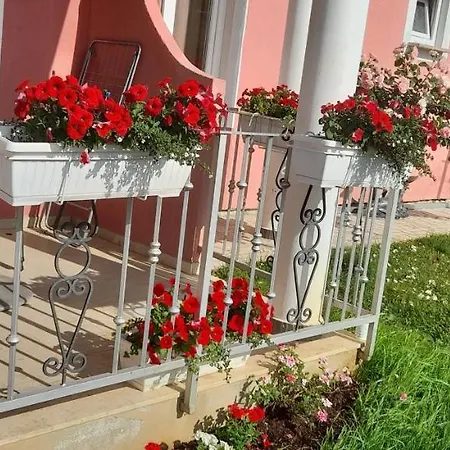 Apartment Dragica *