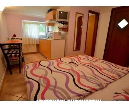 Dragica Apartment Porec