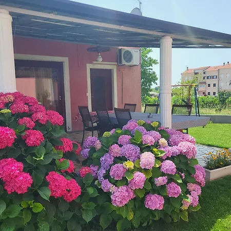 Apartment Dragica