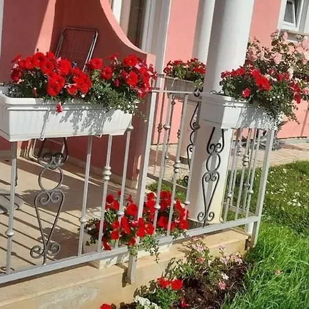 Apartment Dragica Poreč