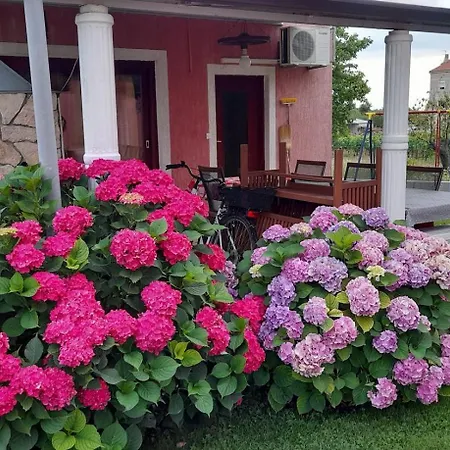Dragica Apartment Porec