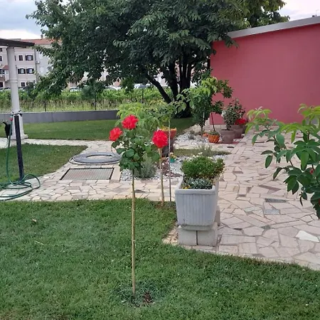 Dragica Porec