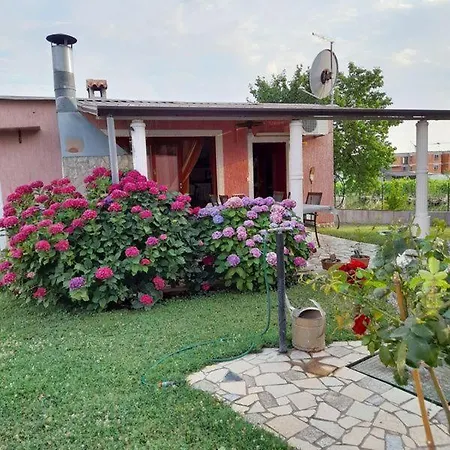 Dragica Apartment Porec