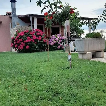 Dragica